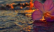 生病了不开心的句子