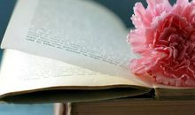 赞美阅读的精美句子