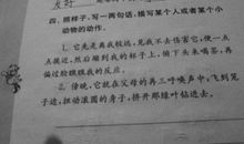 描写小动物动作的句子