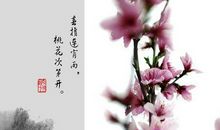 描写春天桃花的语句