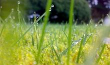 友情的句子：世上最不能缺的是友情