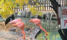 动物园玩发朋友圈的说说