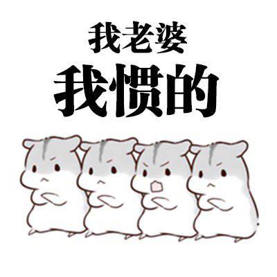 亲爱的妻子