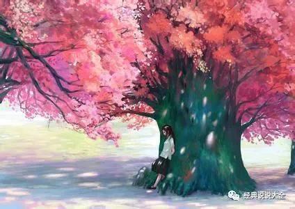 一步一步带您