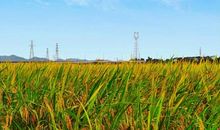 星期一发朋友圈最精美的句子