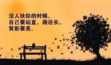 感悟生活正能量句子