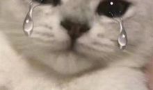 关于脑子进水的幽默说说 脑细胞不够用的说说