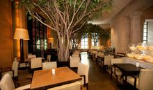 饭店创意广告语大全