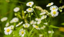 国庆搞笑开心的句子