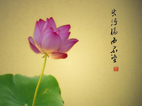 而且还需要毅力