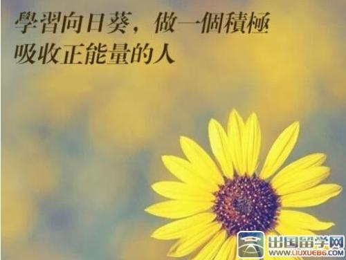 无论如何