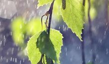 描写冬雨的句子