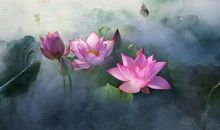 关于莲花的诗句古诗