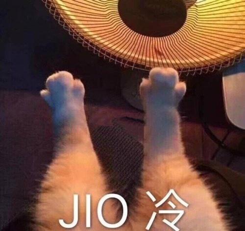 在冬天