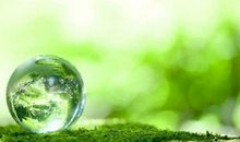 描写春雨优美句子