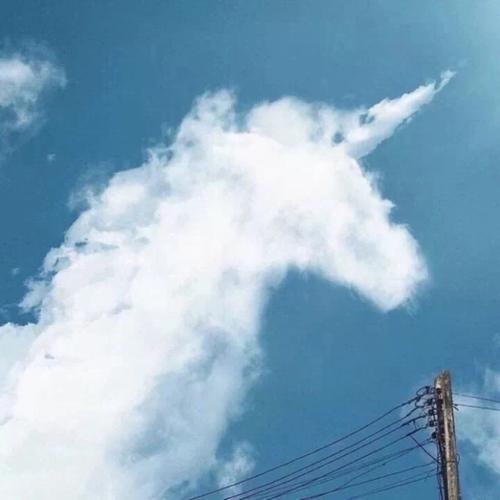 小编整理了一些有关周末快乐时光的句子