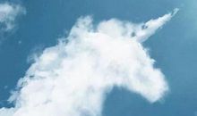 周末开心时光的句子