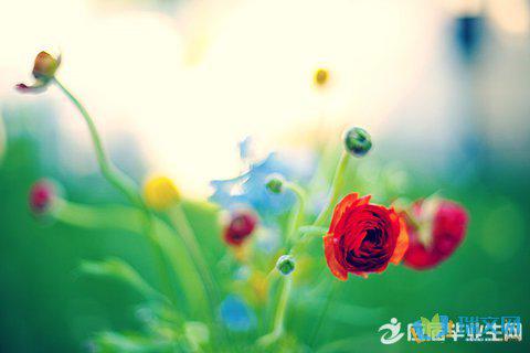 您用什么赞美春天来形容