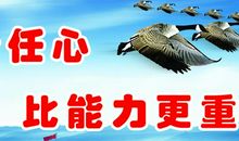 保险公司励志口号