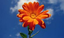 时间是疗伤的最好良药说说