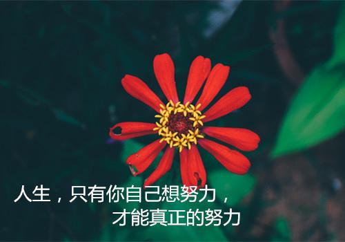 做一个坚强的自我