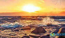 有关描写小草的美句