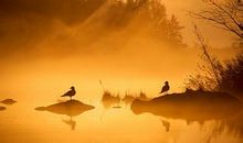 描写秋天夜晚的句子