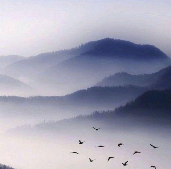 圆形的月亮像纺车一样旋转着她浪漫的想法
