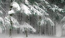 愚人节搞笑句子