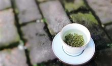 2020春茶上市朋友圈说说 关于春茶新茶的说说