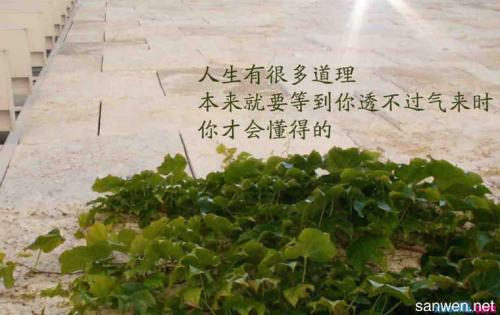 你可以看到