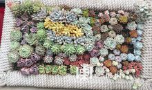 亲情的感人的句子