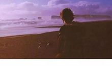 我曾经后悔过的句子