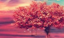 写友情的优美句子