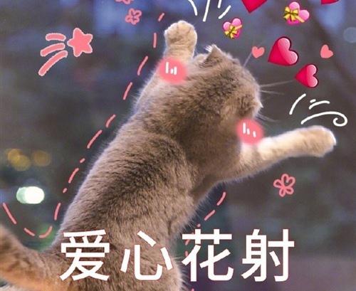 心灵的人