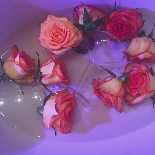 我希望每个人都快乐