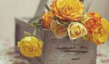 对一个人失望的句子说说心情短语