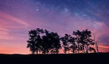 描写一瞬间心动的句子