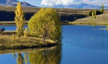 关于关心前男友的经典句子