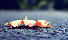 扎心的句子简短