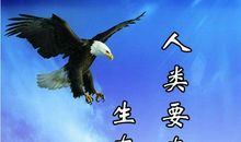 关于失败的名言警句