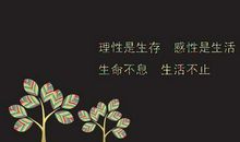 2017签名最新版正能量