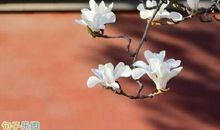 看开看淡的经典语录 看淡了的经典说说