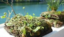 赞美亲情的句子诗句