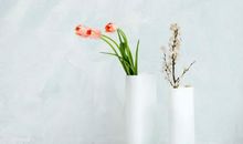 与亲情有关的优美句子