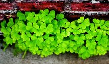 励志语句大全2016:当你想放弃时,想想当初为什么要开始