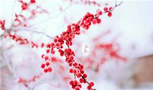 关于立冬的唯美句子、图片 适合发朋友圈哦!