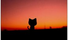 对人对工作失望的句子说说心情