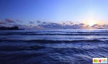 描写大海景色的句子