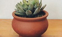 青春亲情抒情的句子